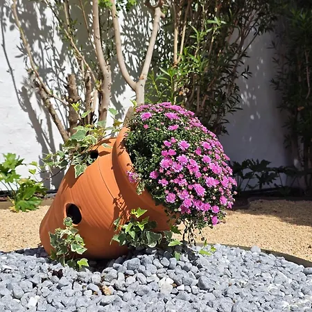 Appartement Salt Tivoli *